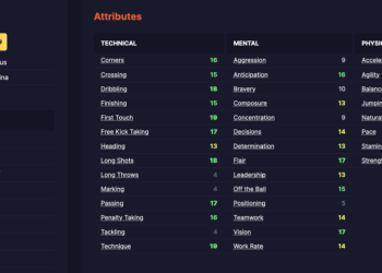 FM 24 Uygun ve Kaliteli 10M Euro Altında Oyuncular Listesi!